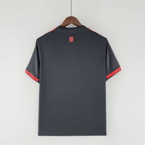 bayern third kit OG 2022 back image