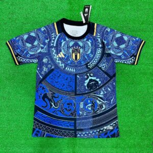 Italy-X-Royal-Edition-Jersey-23-24-Season real image